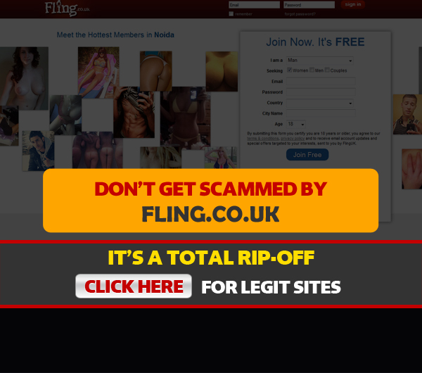 screenshot of homepage for fling